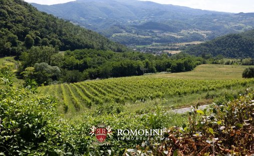 Farm Ranch in Dicomano, Tuscany, Italy 1