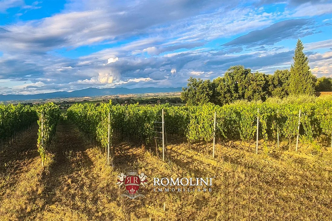 Farm Ranch in Montepulciano, Tuscany, Italy 3 - 15666414