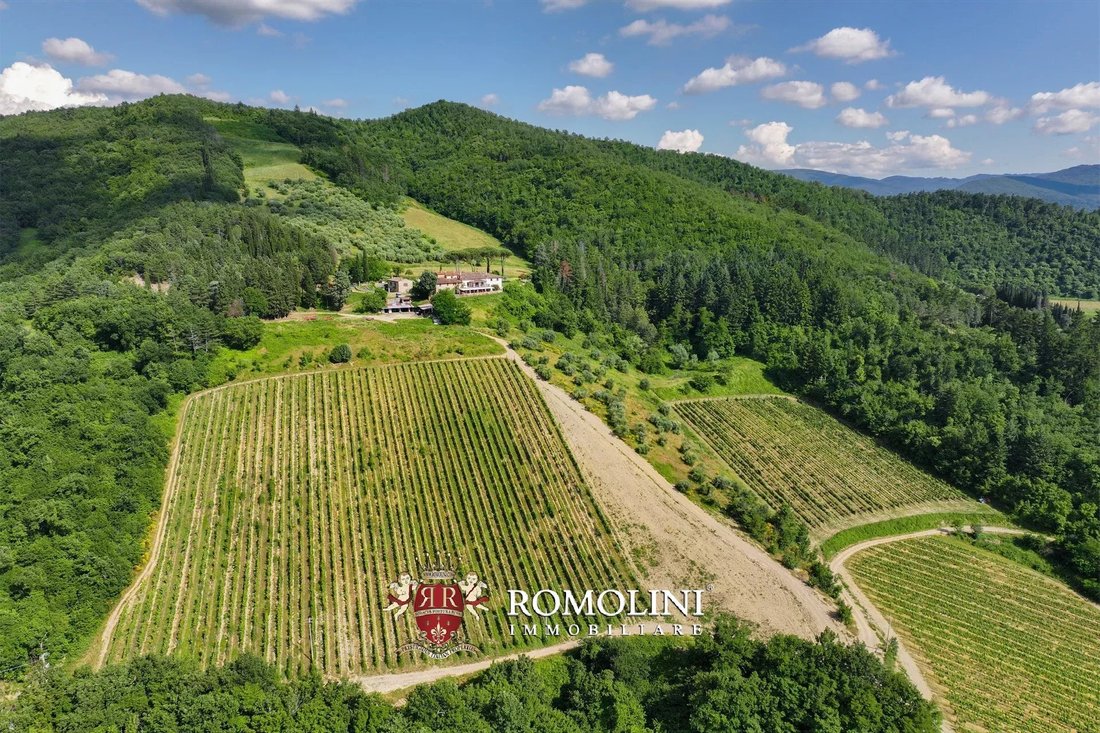 Farm Ranch in Dicomano, Tuscany, Italy 2 - 15666310