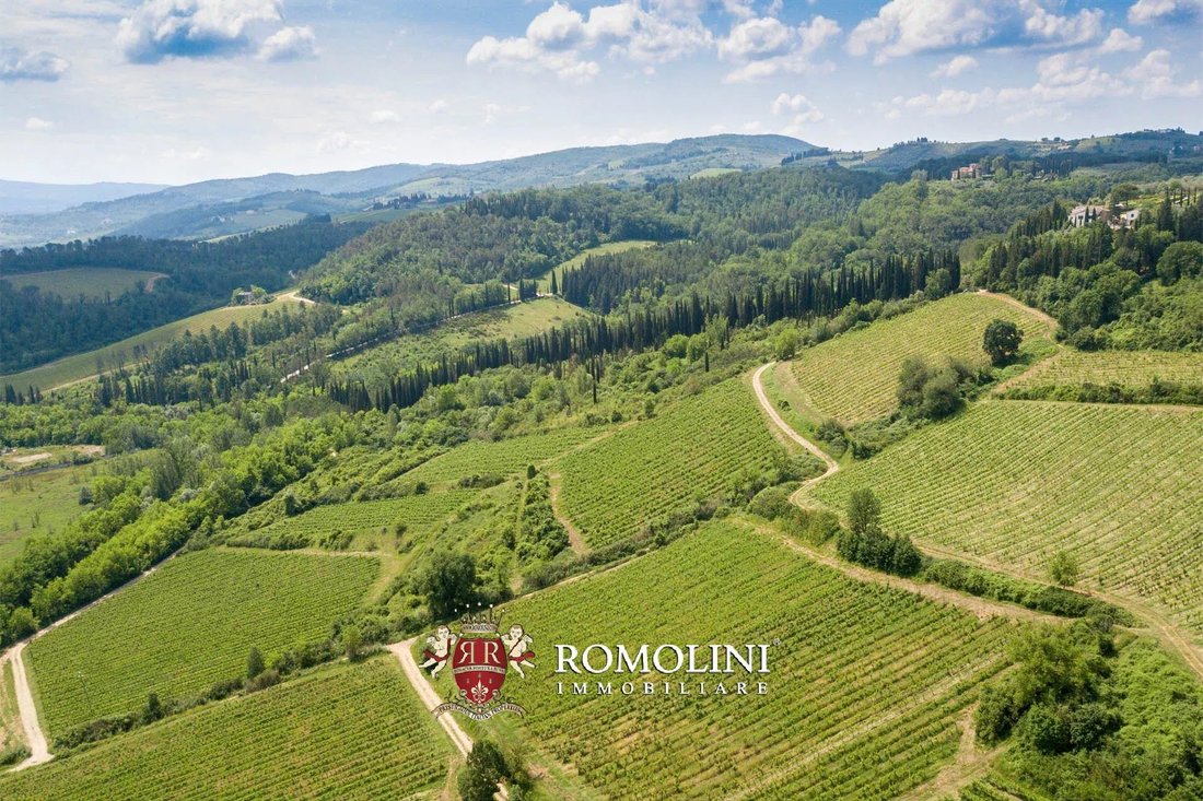 Farm Ranch in Montefiridolfi, San Casciano in Val di Pesa, Tuscany 5 - 15663175
