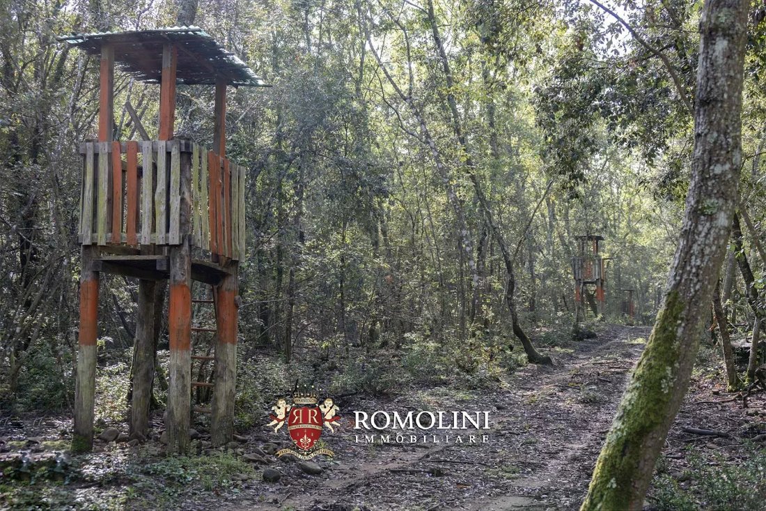 Estate in Principina a Terra, Grosseto, Italy 5 - 15665877