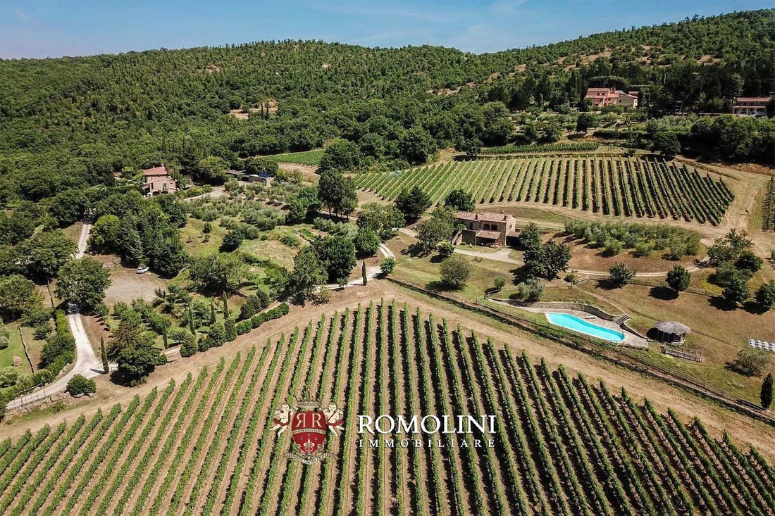 Farm Ranch in Center, Arezzo, Tuscany 5 - 15663311