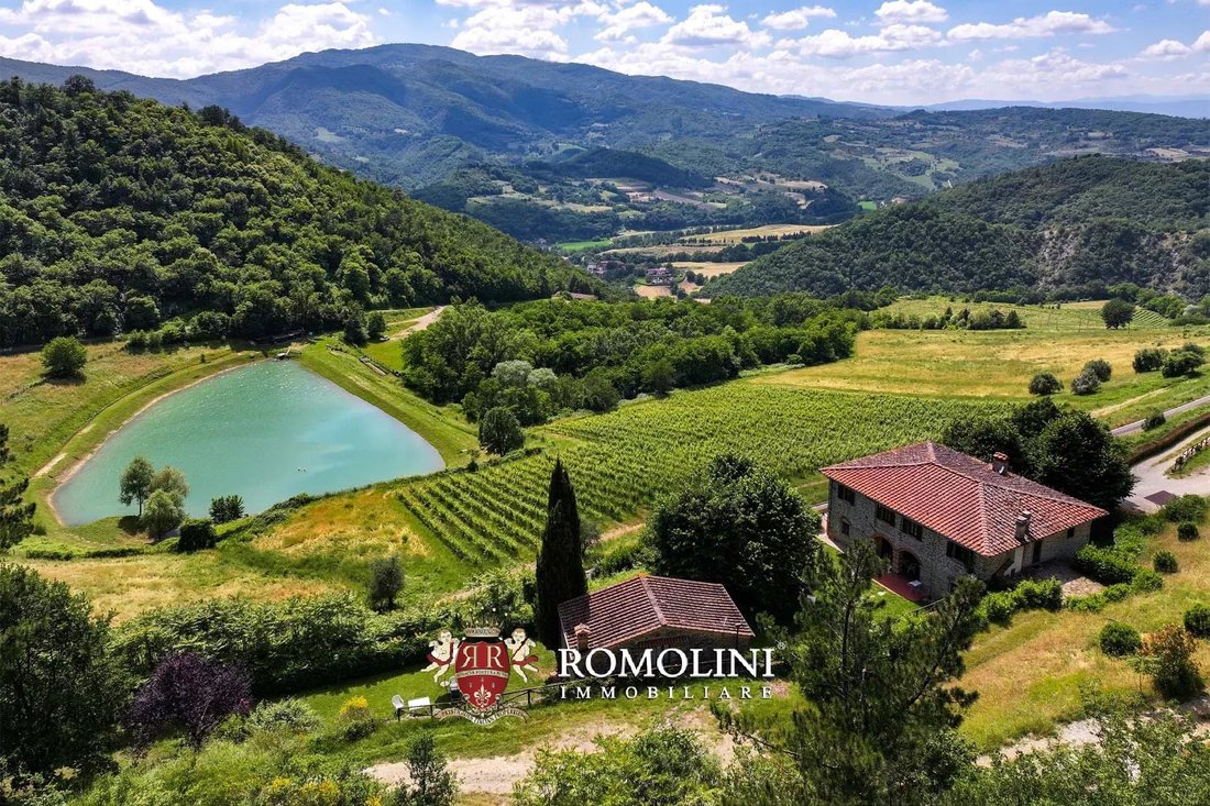 Corps de ferme à Dicomano, Toscane, Italie 1 - 15666314