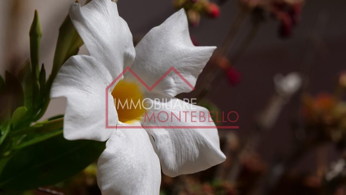 Country House in Stiava, Massarosa, Tuscany 4 - 18285154