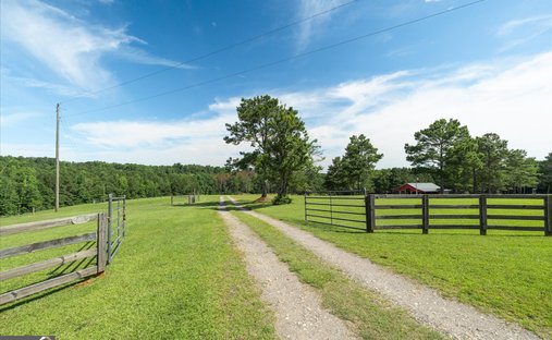 Farm Ranch in Carrollton, Georgia, United States 1