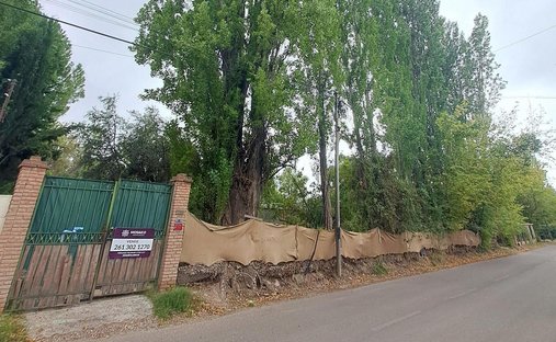 Terrain à Luján de Cuyo, Mendoza, Argentine 1