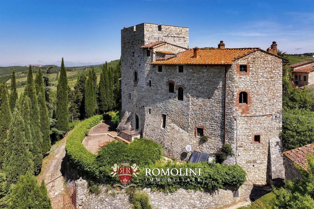 Castle in Gaiole in Chianti, Tuscany, Italy 5 - 15665095