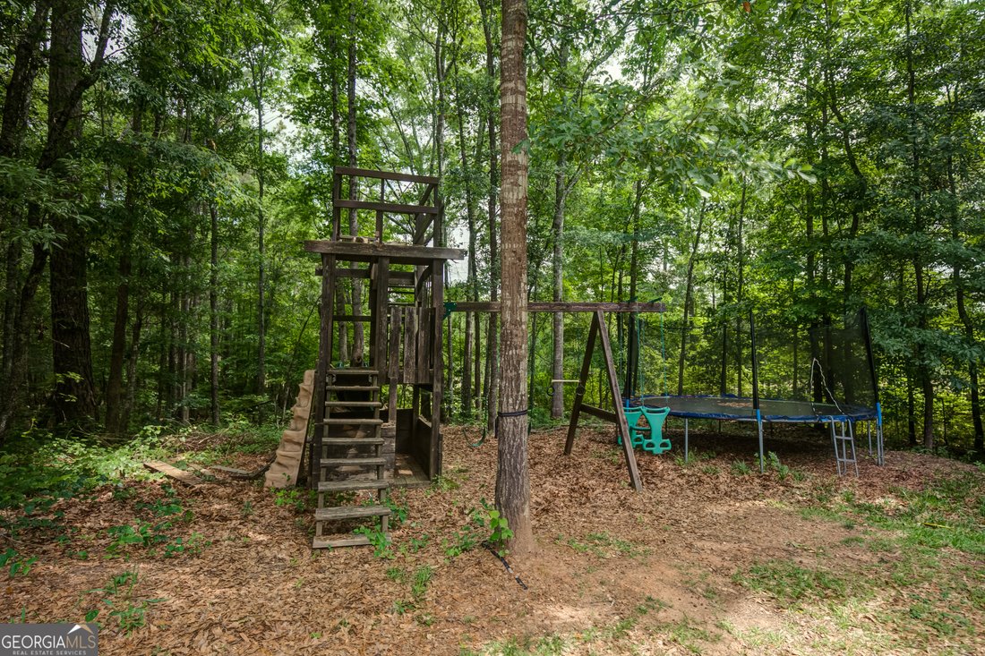 House in Moreland, Georgia, United States 1 - 18288499