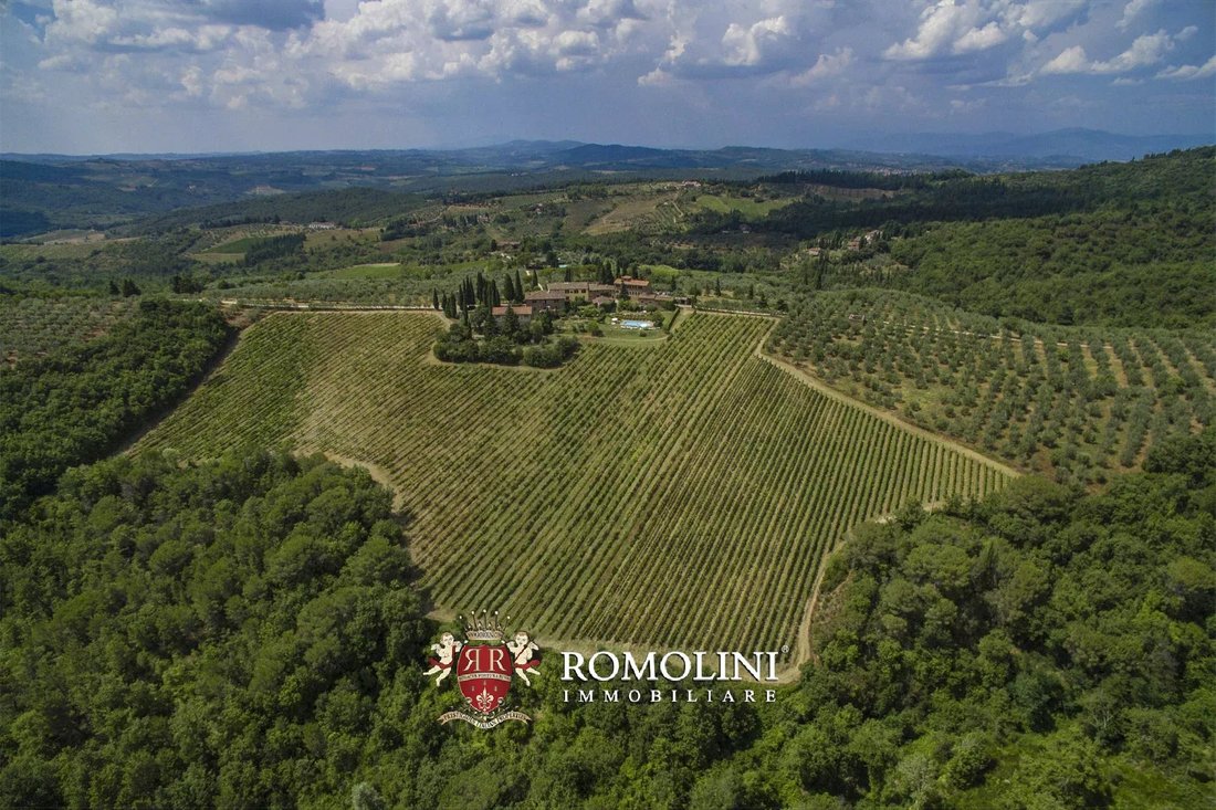 Farm Ranch in Center, Greve in Chianti, Tuscany 1 - 15663286