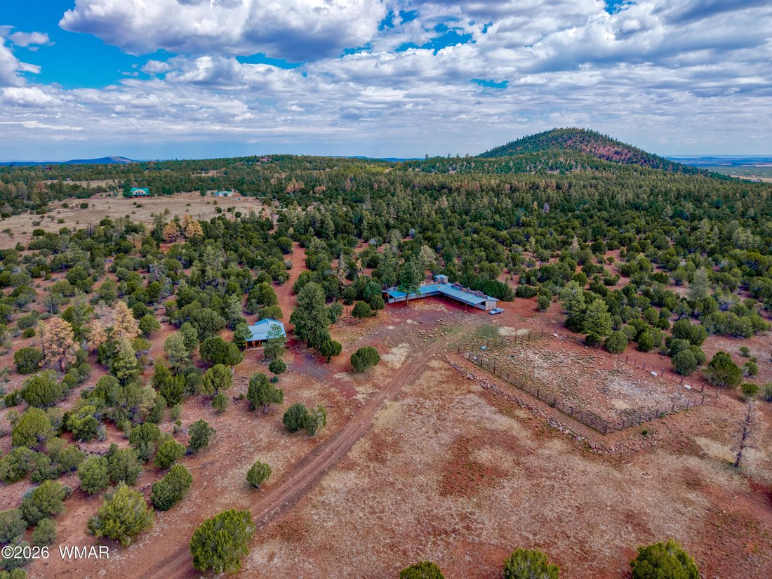 Vernon, Arizona, United States 4 - 18291870
