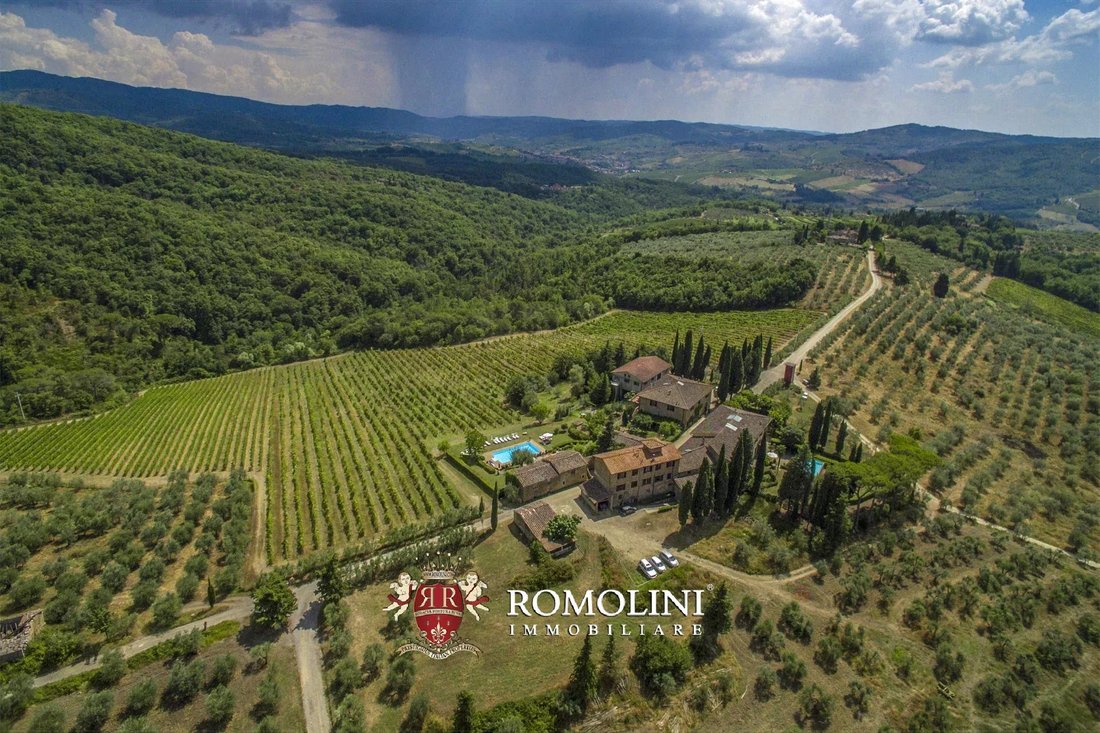 Farm Ranch in Center, Greve in Chianti, Tuscany 5 - 15663286