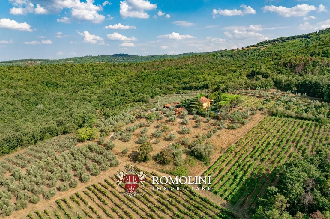 Estate in Laterina Pergine Valdarno, Tuscany, Italy 2 - 15665086
