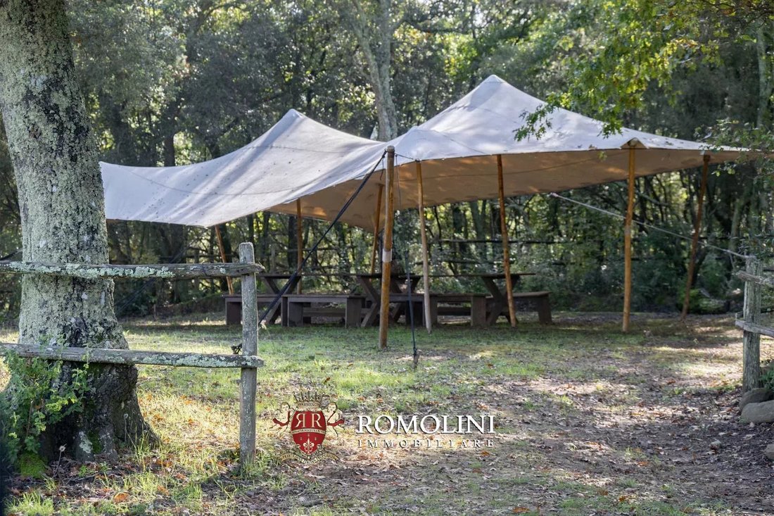 Estate in Principina a Terra, Grosseto, Italy 4 - 15665877