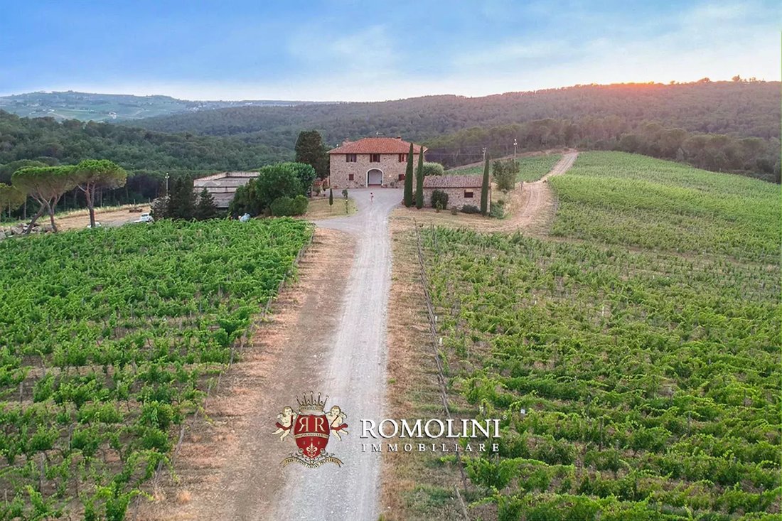 Farm Ranch in Center, Greve in Chianti, Tuscany 1 - 15663174