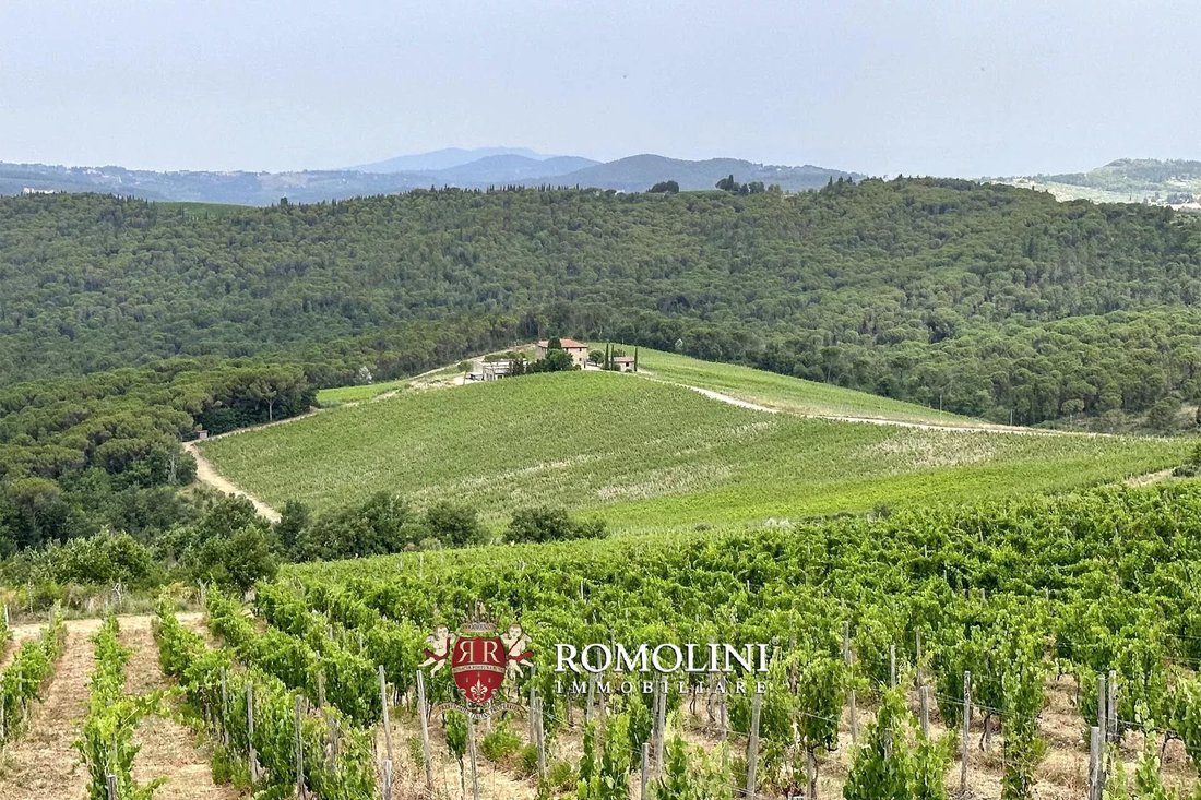 Farm Ranch in Center, Greve in Chianti, Tuscany 3 - 15663174