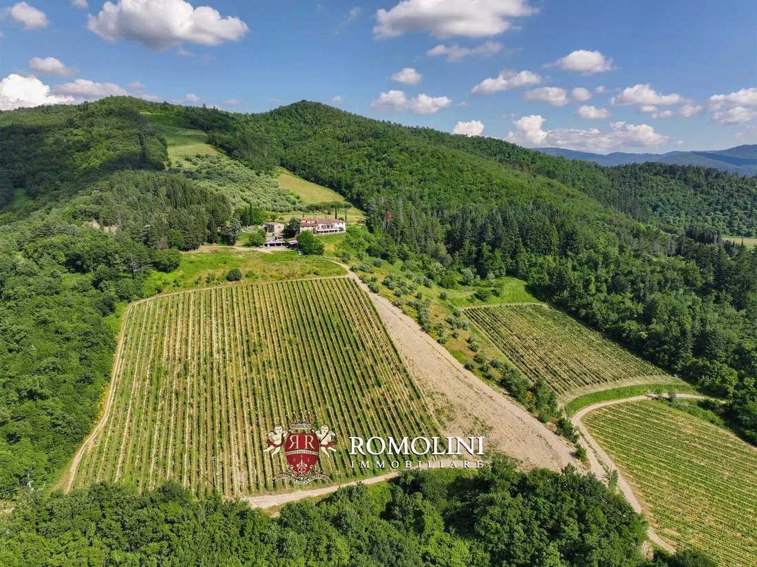 Farm Ranch in Dicomano, Tuscany, Italy 5 - 15666587