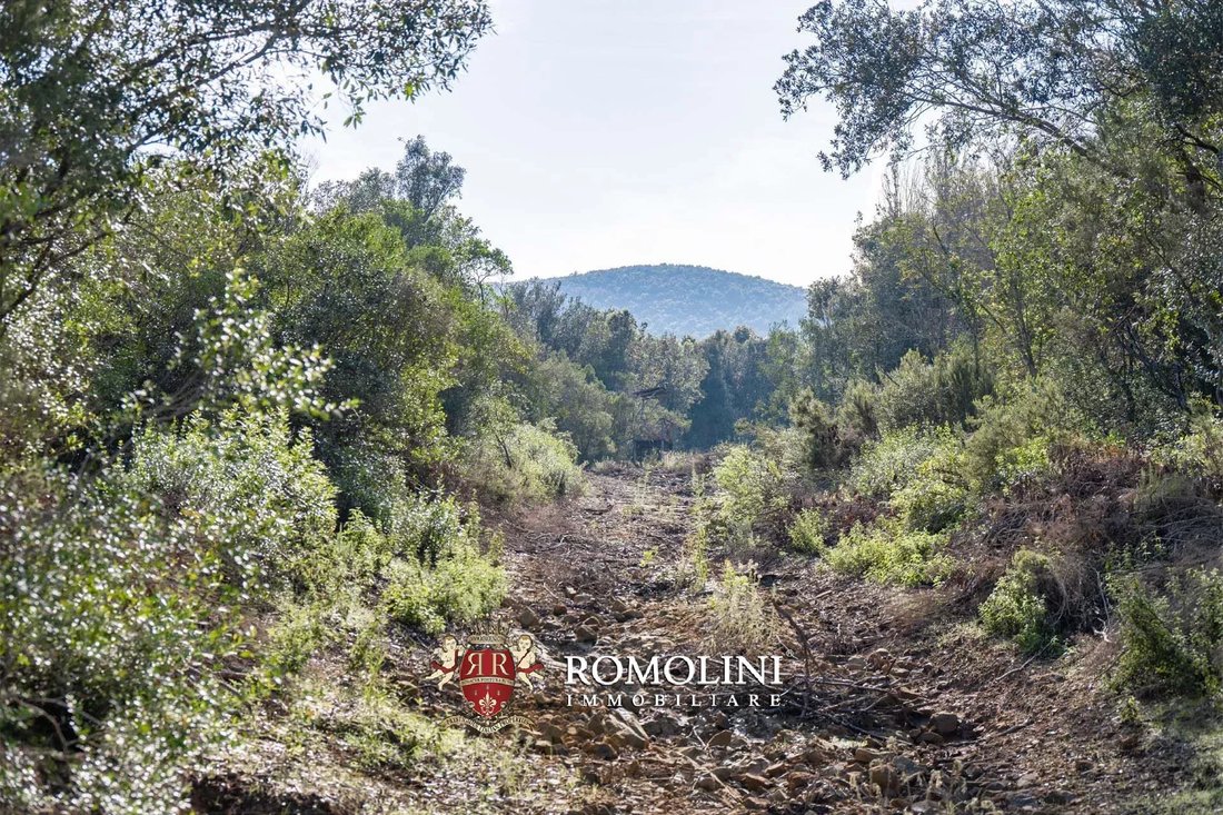 Estate in Principina a Terra, Grosseto, Italy 2 - 15665877
