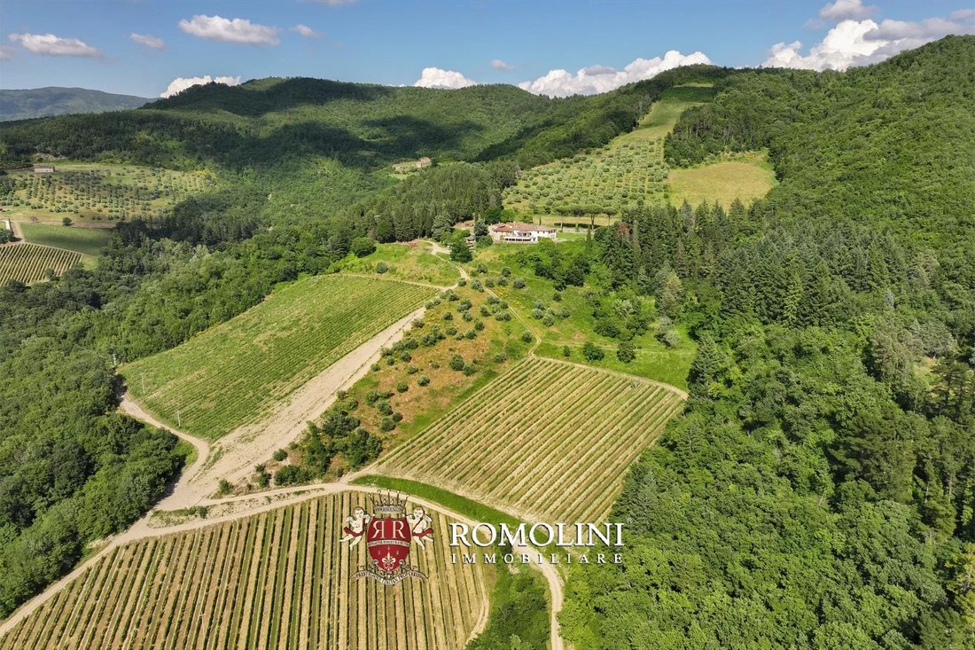 Farm Ranch in Dicomano, Tuscany, Italy 3 - 15666310