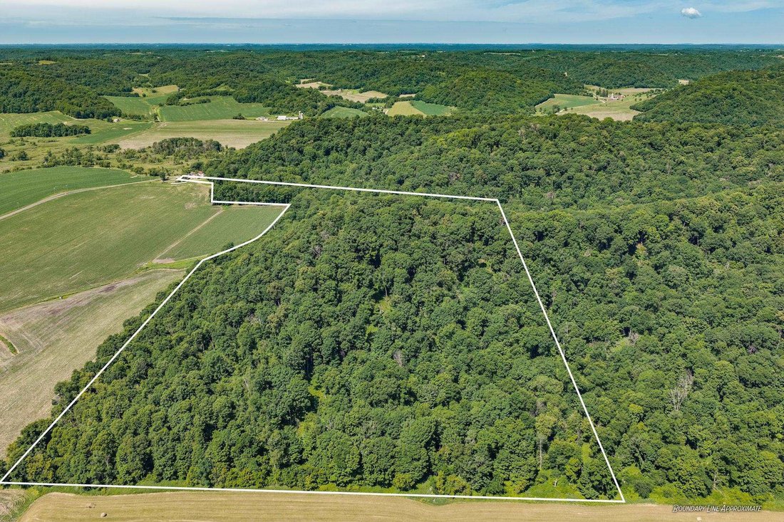 House in Muscoda, Wisconsin, United States 4 - 18280354
