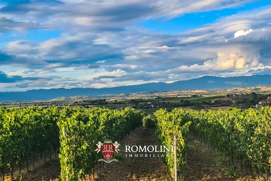 Farm Ranch in Montepulciano, Tuscany, Italy 5 - 15666414