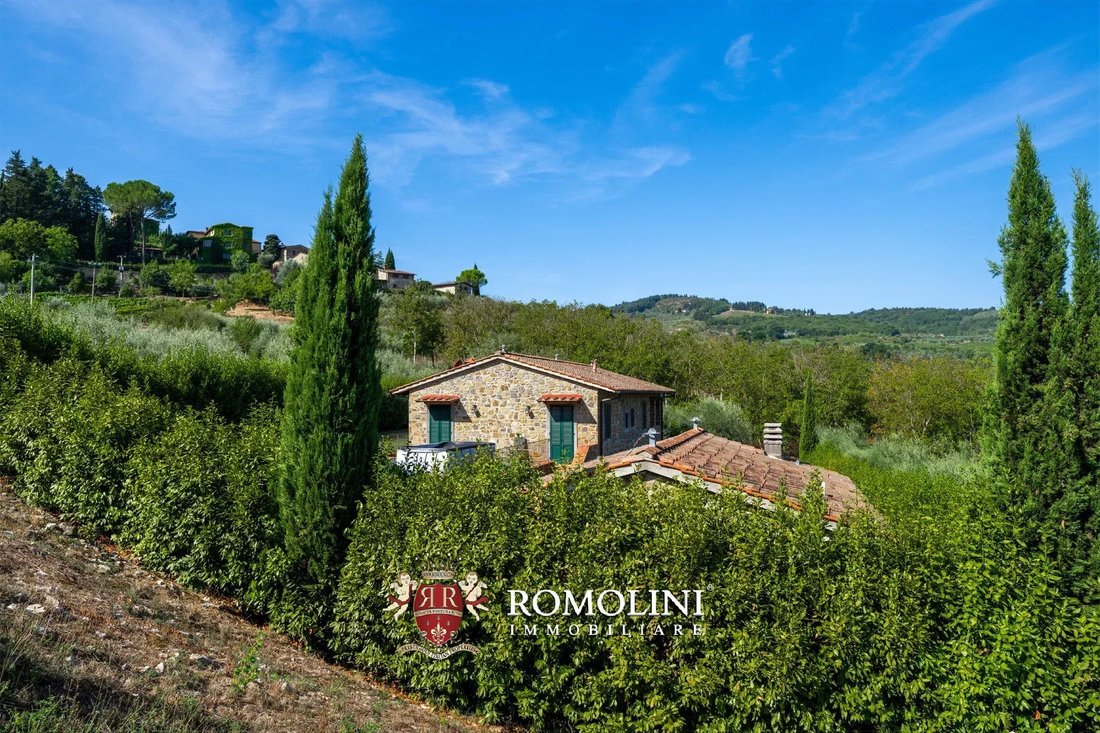 Farm Ranch in Center, Greve in Chianti, Tuscany 1 - 15663538