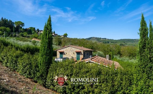 Azienda agricola a Centro, Greve in Chianti, Toscana 1
