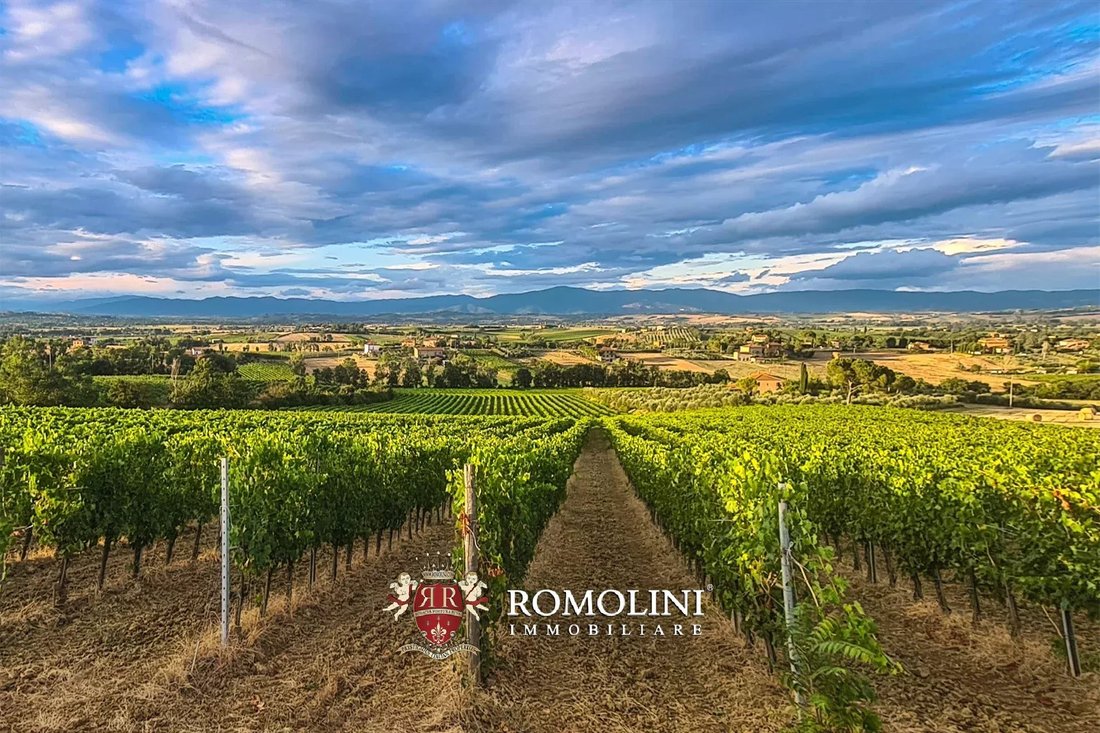 Farm Ranch in Montepulciano, Tuscany, Italy 1 - 15666414