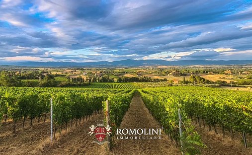 Farm Ranch in Montepulciano, Tuscany, Italy 1