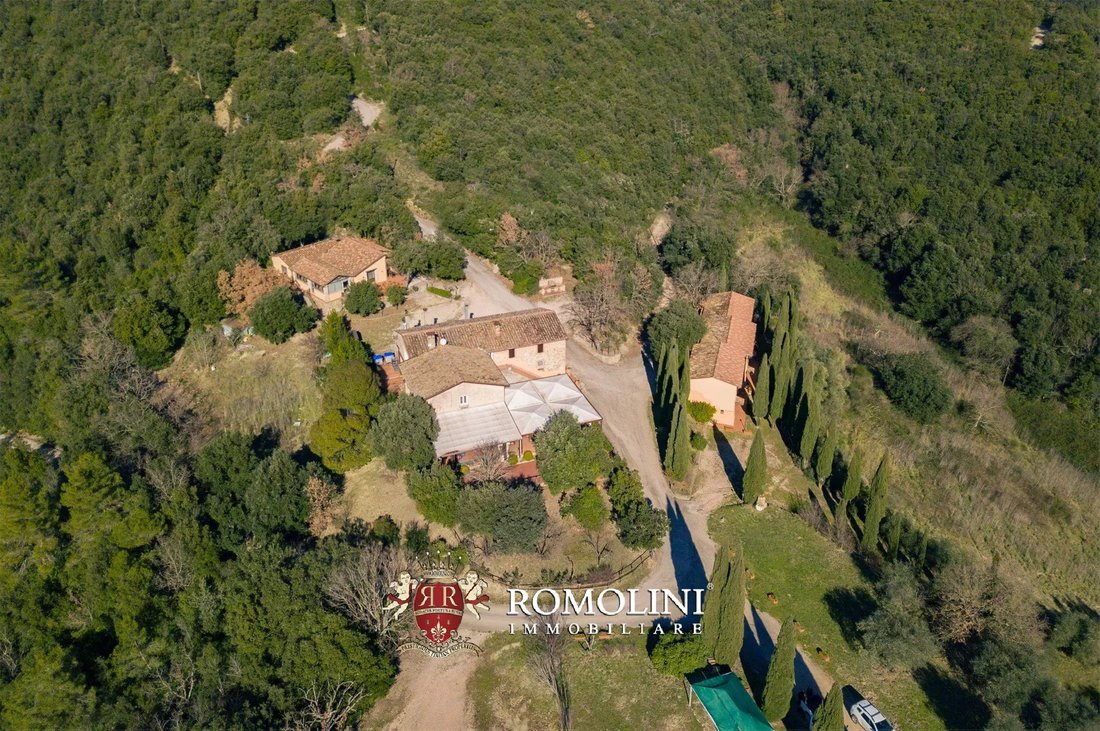 Estate in Bettona, Umbria, Italy 4 - 15665943