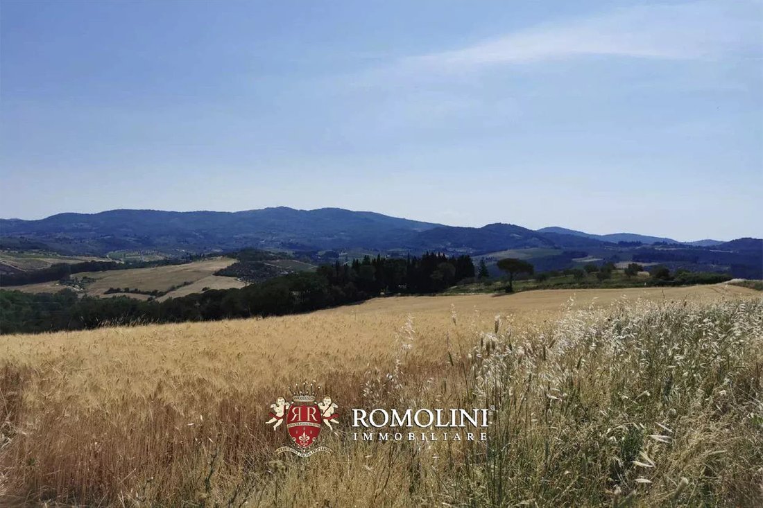 Estate in Center, Impruneta, Tuscany 2 - 15665259