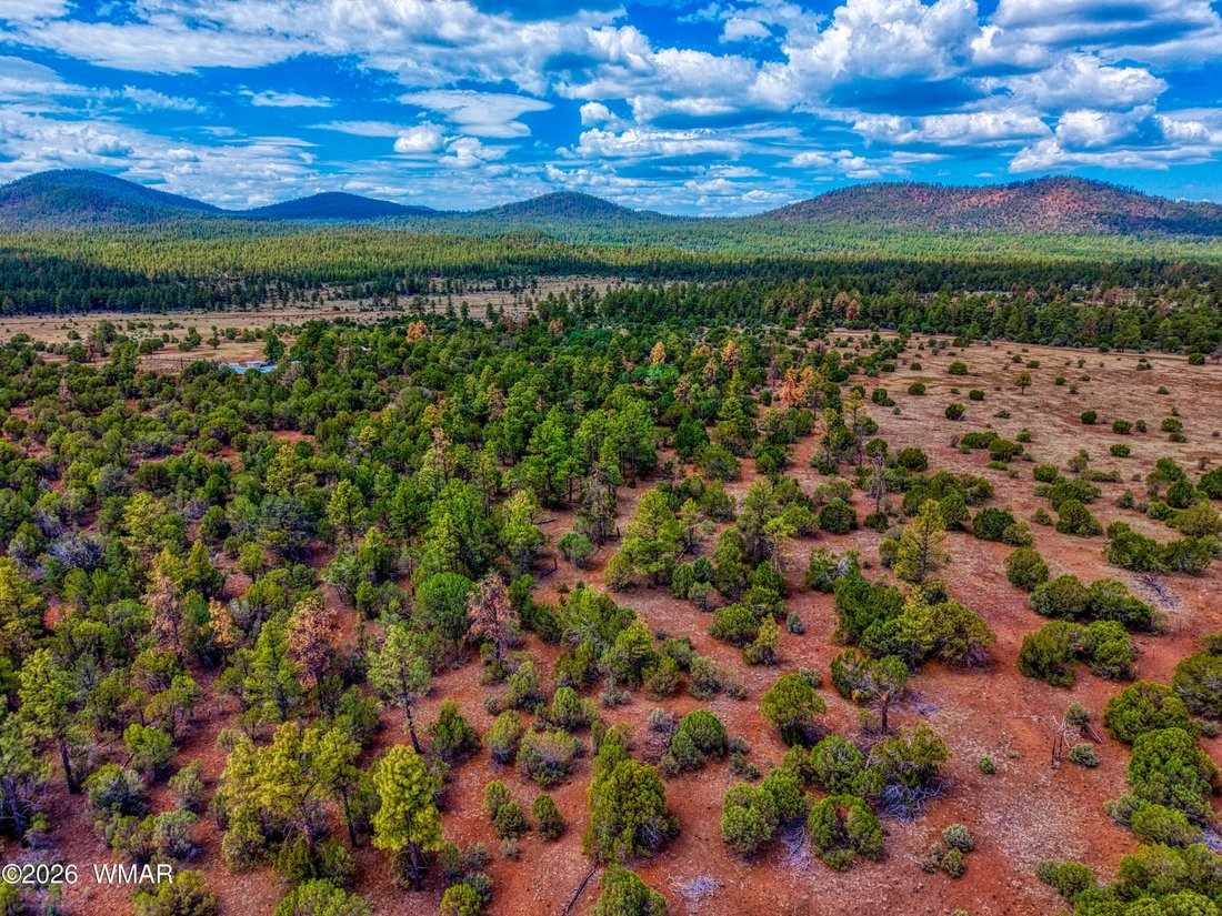Vernon, Arizona, United States 3 - 18291870