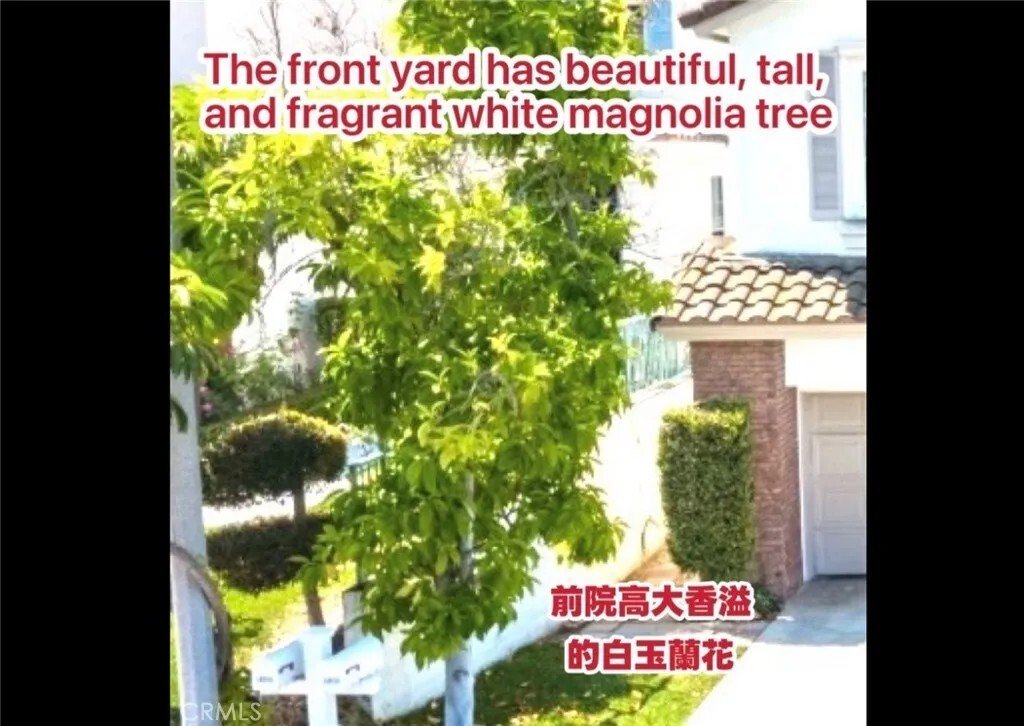 House in Rowland Heights, California, United States 4 - 18292225