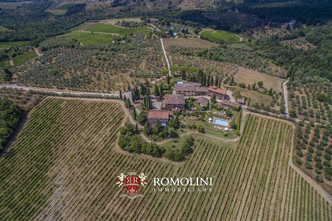 Farm Ranch in Center, Greve in Chianti, Tuscany 3 - 15663286