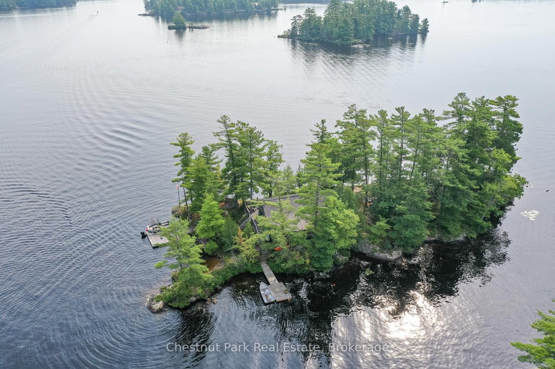 House in Gravenhurst, Ontario, Canada 1 - 17470040