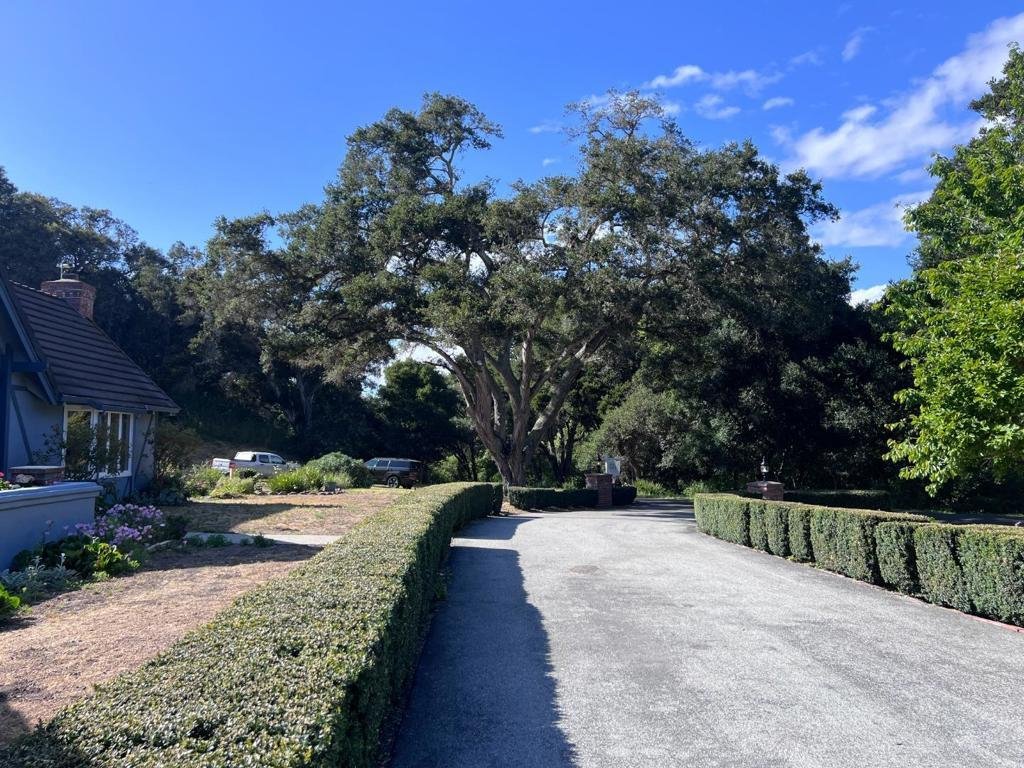 House in Aromas, California, United States 5 - 18291185
