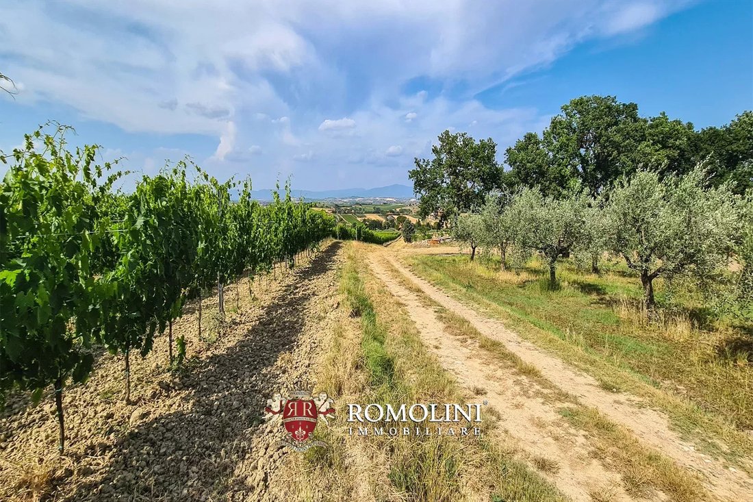 Farm Ranch in Montepulciano, Tuscany, Italy 4 - 15666414