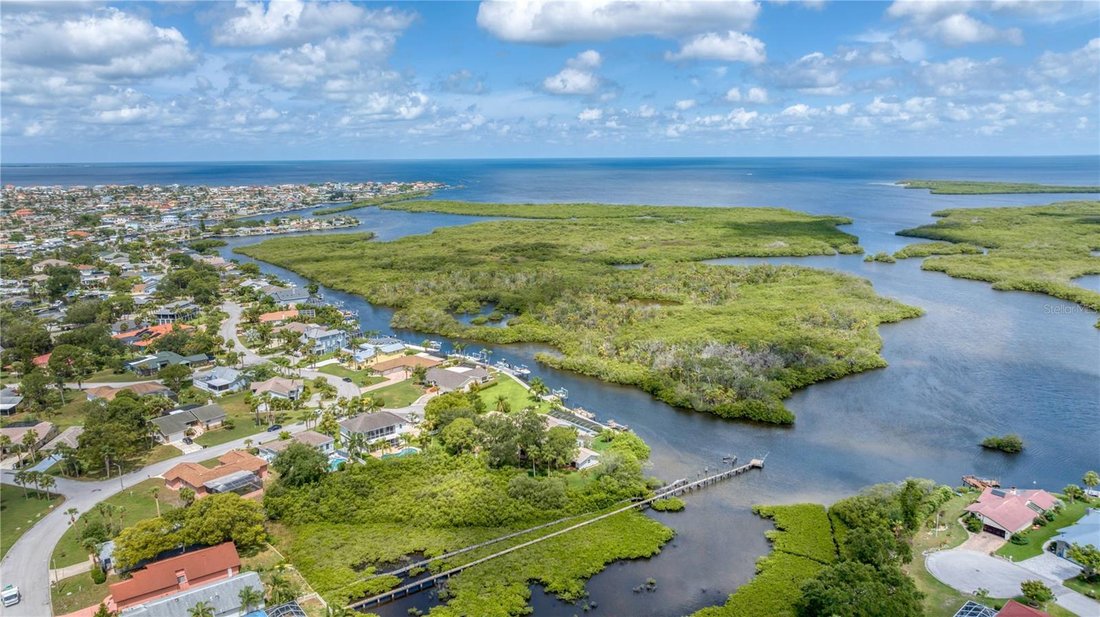 House in New Port Richey, Florida, United States 4 - 18286053
