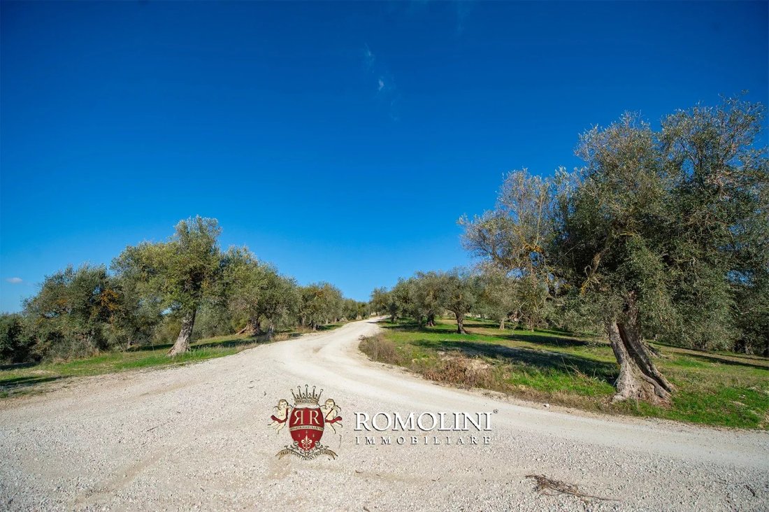 House in Magione, Umbria, Italy 4 - 15666203