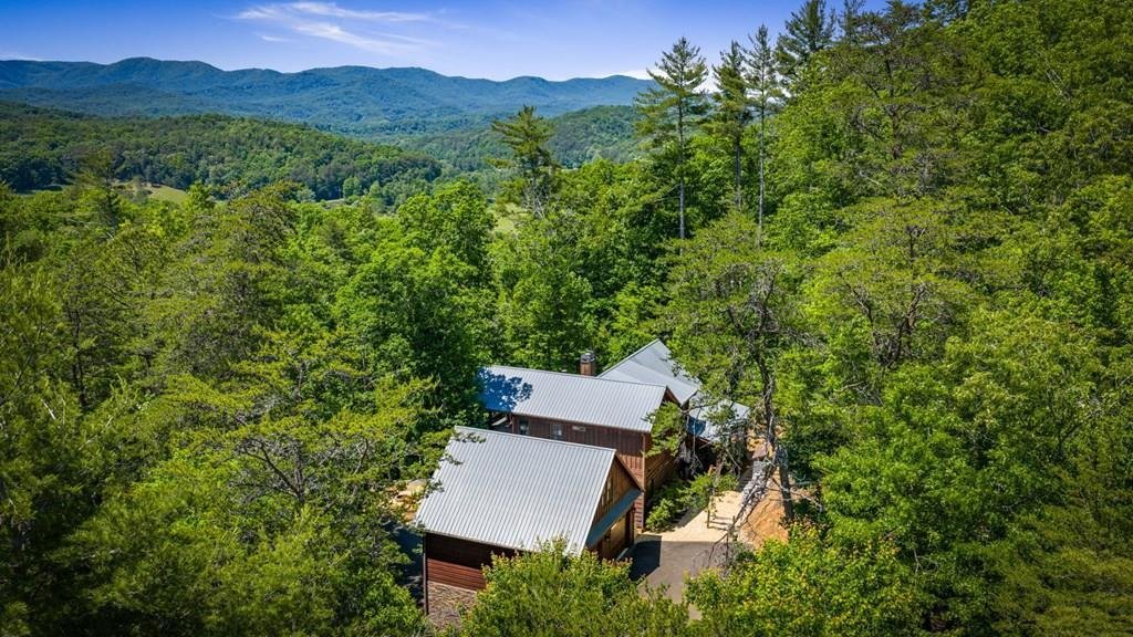 House in Ellijay, Georgia, United States 4 - 17987268