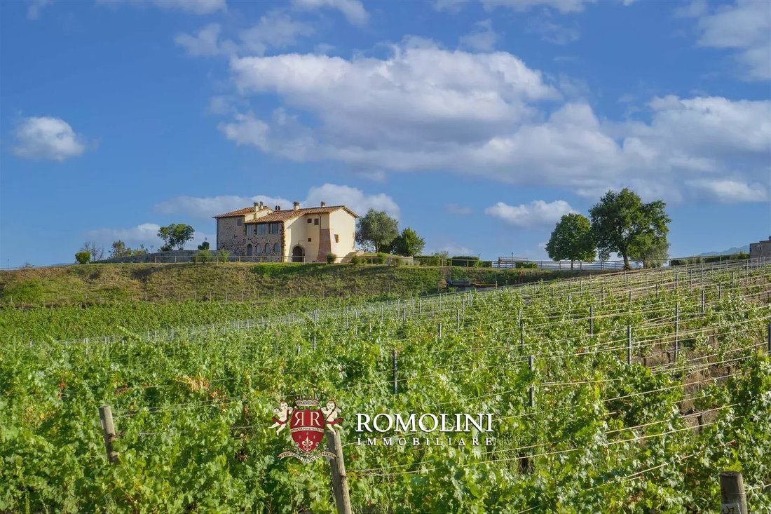 Farm Ranch in Pestello-Ginestra, Montevarchi, Tuscany 1 - 15663396