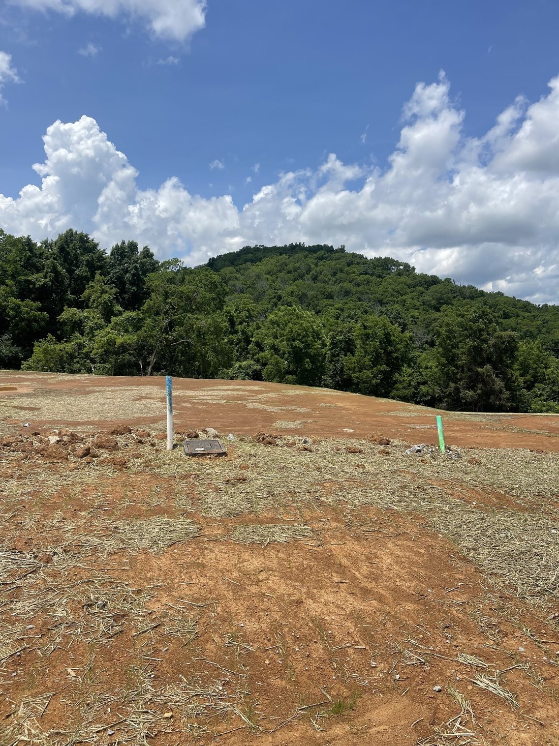 House in Franklin, Tennessee, United States 3 - 18290818