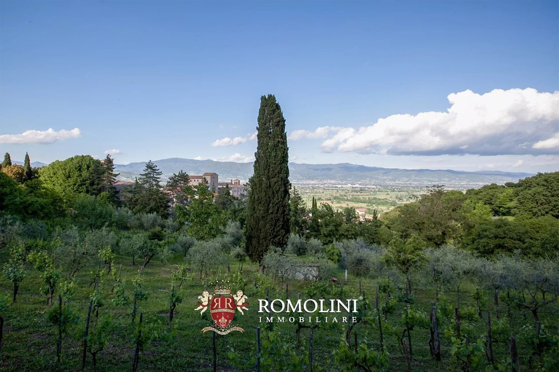 Villa in Anghiari, Tuscany, Italy 5 - 15665068