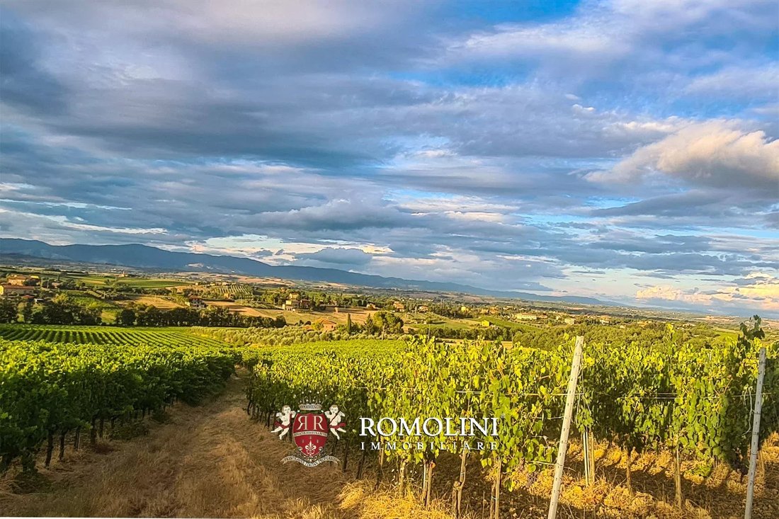 Farm Ranch in Montepulciano, Tuscany, Italy 2 - 15666414