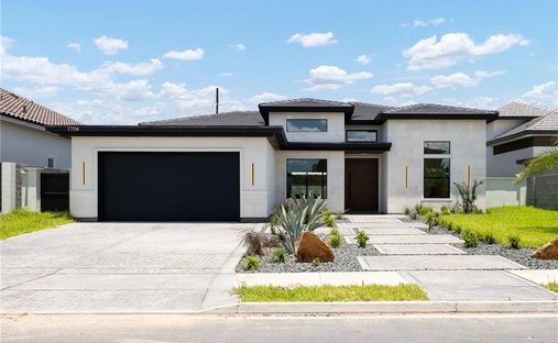 House in Edinburg, Texas, United States 1