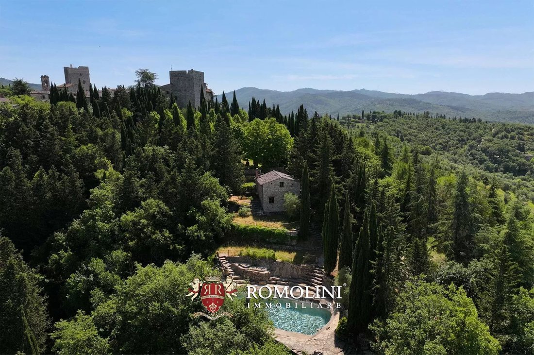 Castle in Gaiole in Chianti, Tuscany, Italy 3 - 15665095