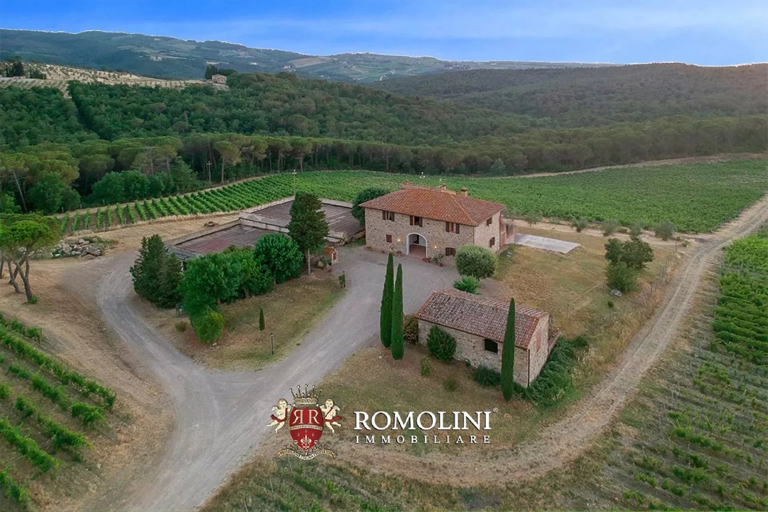 Farm Ranch in Center, Greve in Chianti, Tuscany 2 - 15663174