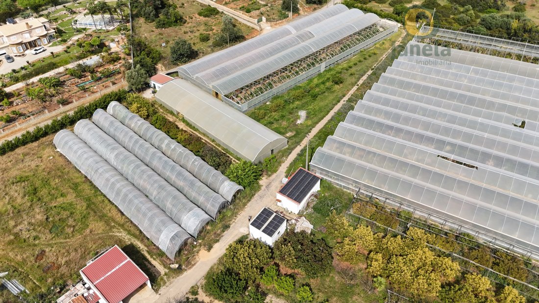Finca in Pechao, Algarve, Portugal 1 - 18282415