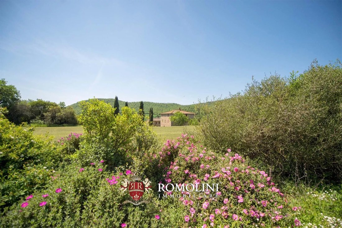 Estate in Civitella Paganico, Tuscany, Italy 5 - 15664869