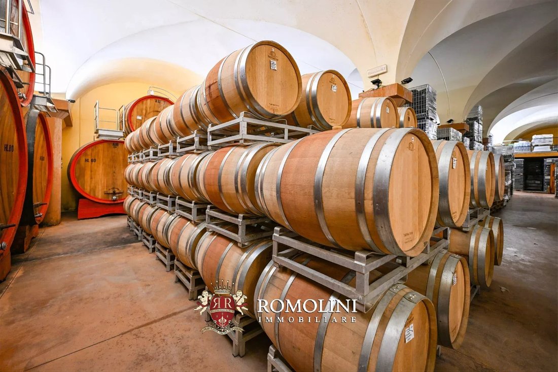 Farm Ranch in Montalcino, Tuscany, Italy 4 - 15663380