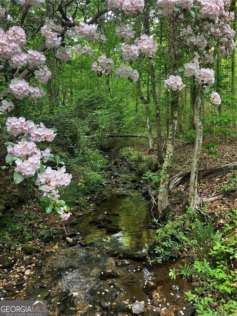 Farm Ranch in Cumming, Georgia, United States 2 - 17736316